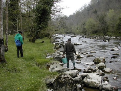 Le Sainte Engrâce, au camping