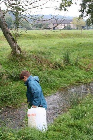 Alevinage du ruisseau de Lichans