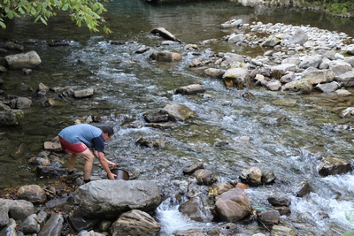 Alevinage à Larrau