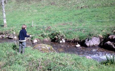 Parcours enfants sur le Susselgue