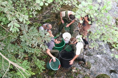 peche electrique1