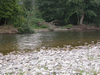 Plage de la Gendarmerie